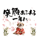 ペキニーズ！ふわもこ子犬のお正月スタンプ（個別スタンプ：10）