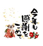 ペキニーズ！ふわもこ子犬のお正月スタンプ（個別スタンプ：16）