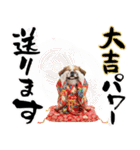 ペキニーズ！ふわもこ子犬のお正月スタンプ（個別スタンプ：19）