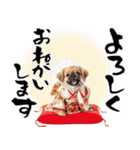 ペキニーズ！ふわもこ子犬のお正月スタンプ（個別スタンプ：29）