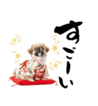 ペキニーズ！ふわもこ子犬のお正月スタンプ（個別スタンプ：32）