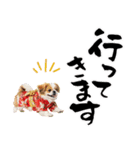 ペキニーズ！ふわもこ子犬のお正月スタンプ（個別スタンプ：35）
