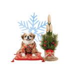 ペキニーズ！ふわもこ子犬のお正月スタンプ（個別スタンプ：38）