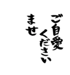 【スタンプアレンジ用】格言ぽく気遣う言葉（個別スタンプ：38）