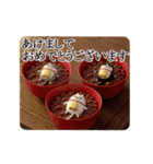 動く 3D三匹の擦れねこ 年末年始2026（個別スタンプ：4）