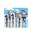 動く 3D三匹の擦れねこ 年末年始2026（個別スタンプ：5）