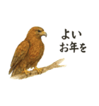 やわらかな和のごあいさつ（個別スタンプ：2）