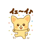 ワンニャンのほのぼの年末年始スタンプ（個別スタンプ：9）