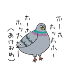やたら鳥♪正月後も毎日使うお得セットの巻（個別スタンプ：34）