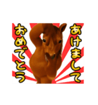 踊る！横揺れお馬さんのお正月（個別スタンプ：1）