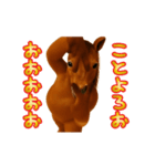 踊る！横揺れお馬さんのお正月（個別スタンプ：3）