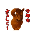 踊る！横揺れお馬さんのお正月（個別スタンプ：9）