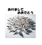十二支全部 あけおめ 年賀状 集合体（個別スタンプ：7）