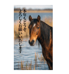 Run to 2026！野生の馬たちの新年スタンプ（個別スタンプ：5）