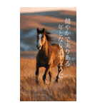 Run to 2026！野生の馬たちの新年スタンプ（個別スタンプ：7）