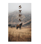 Run to 2026！野生の馬たちの新年スタンプ（個別スタンプ：27）