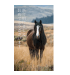 Run to 2026！野生の馬たちの新年スタンプ（個別スタンプ：38）