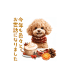 動く！トイプードルの年末年始スタンプ（個別スタンプ：12）