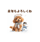 動く！トイプードルの年末年始スタンプ（個別スタンプ：13）
