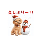 動く！トイプードルの年末年始スタンプ（個別スタンプ：16）