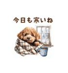 動く！トイプードルの年末年始スタンプ（個別スタンプ：20）