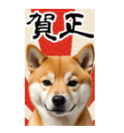 BIG 柴犬のあけおめスタンプ（個別スタンプ：1）