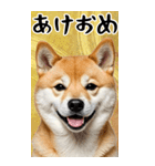 BIG 柴犬のあけおめスタンプ（個別スタンプ：3）