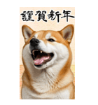 BIG 柴犬のあけおめスタンプ（個別スタンプ：4）