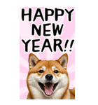 BIG 柴犬のあけおめスタンプ（個別スタンプ：5）