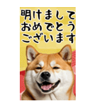 BIG 柴犬のあけおめスタンプ（個別スタンプ：6）