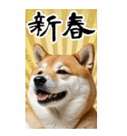 BIG 柴犬のあけおめスタンプ（個別スタンプ：8）