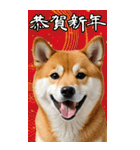 BIG 柴犬のあけおめスタンプ（個別スタンプ：13）