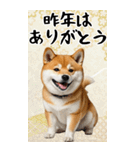 BIG 柴犬のあけおめスタンプ（個別スタンプ：15）