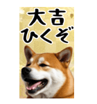 BIG 柴犬のあけおめスタンプ（個別スタンプ：18）