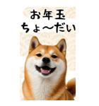 BIG 柴犬のあけおめスタンプ（個別スタンプ：19）