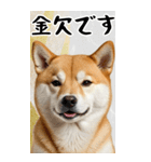 BIG 柴犬のあけおめスタンプ（個別スタンプ：20）