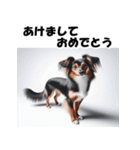 十二支全部 あけおめ 年賀状 セクシー（個別スタンプ：35）