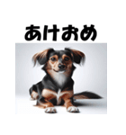 十二支全部 あけおめ 年賀状 セクシー（個別スタンプ：36）