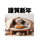 十二支全部 あけおめ 年賀状 こたつ（個別スタンプ：35）