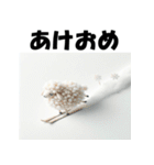 十二支全部 あけおめ 年賀状 スキー（個別スタンプ：25）