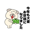 【あけおめ】パグ犬のぱーちゃん91（個別スタンプ：25）