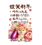 しば犬と白馬のあけおめ【2026】（個別スタンプ：8）