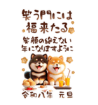 しば犬と白馬のあけおめ【2026】（個別スタンプ：27）