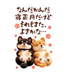 しば犬と白馬のあけおめ【2026】（個別スタンプ：28）