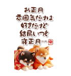 しば犬と白馬のあけおめ【2026】（個別スタンプ：35）