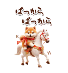 しば犬と白馬のあけおめ【2026】（個別スタンプ：36）