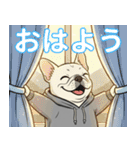 パーカーフレブルの年末年始＆日常ご挨拶（個別スタンプ：12）