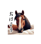 2026正月馬スタンプ【元旦・面白い】（個別スタンプ：14）