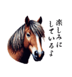 2026正月馬スタンプ【元旦・面白い】（個別スタンプ：16）