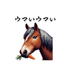 2026正月馬スタンプ【元旦・面白い】（個別スタンプ：21）